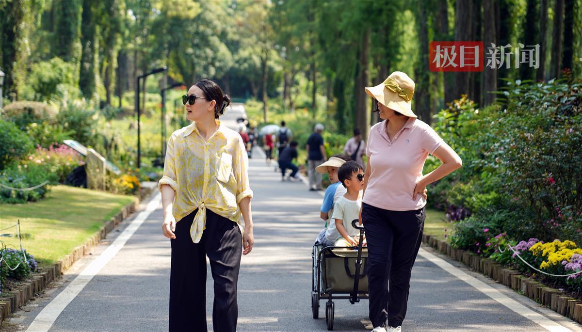 永利网投